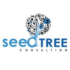 Seedtree_Consulting_Logo_designed_by_Jabulani_Design_Studio_Centurion